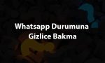 Whatsapp Durumuna Gizlice Bakma