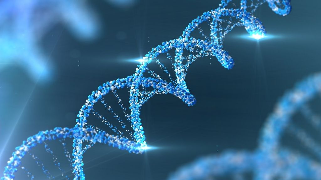 DNA Canlıların Genetik Kodları