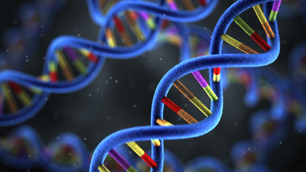 James Watson, Francis Crick Ve DNAnın Keşfi