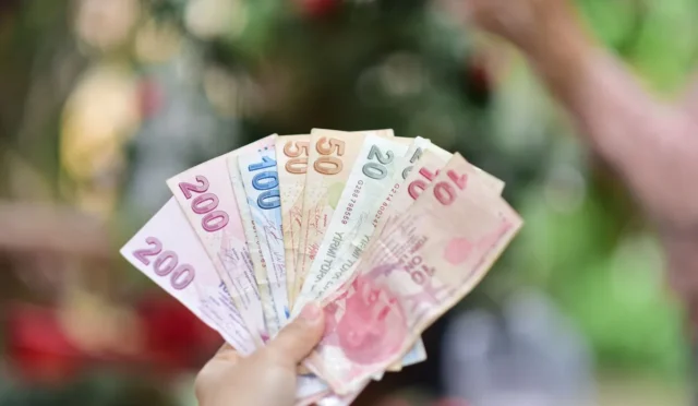 Sosyal yardım paraları neden yatmadı sorusuna yanıt arayan vatandaşların e-Devlet üzerinden sorgulama yapması.